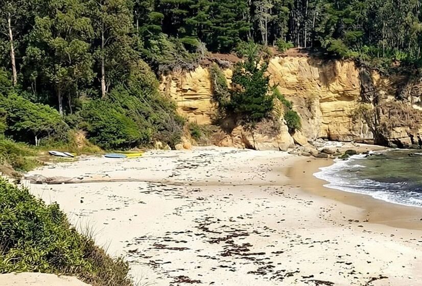 Playa de Cocholgüe, Tomé